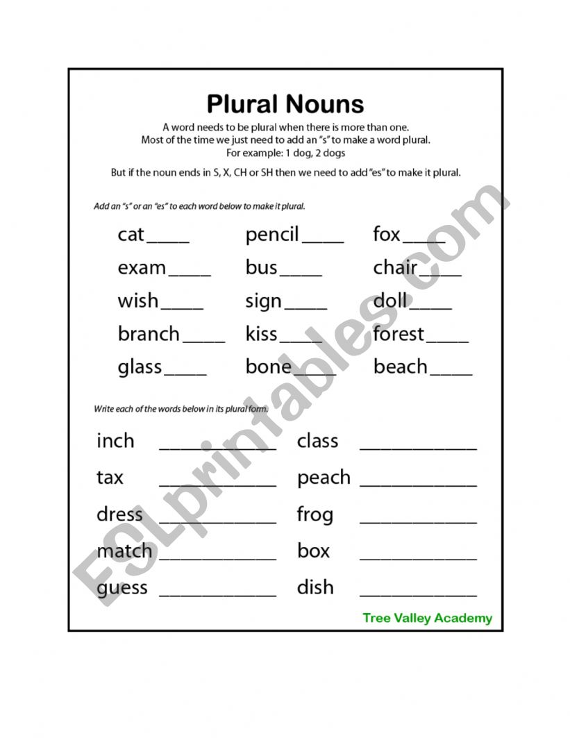 Plural nouns worksheet