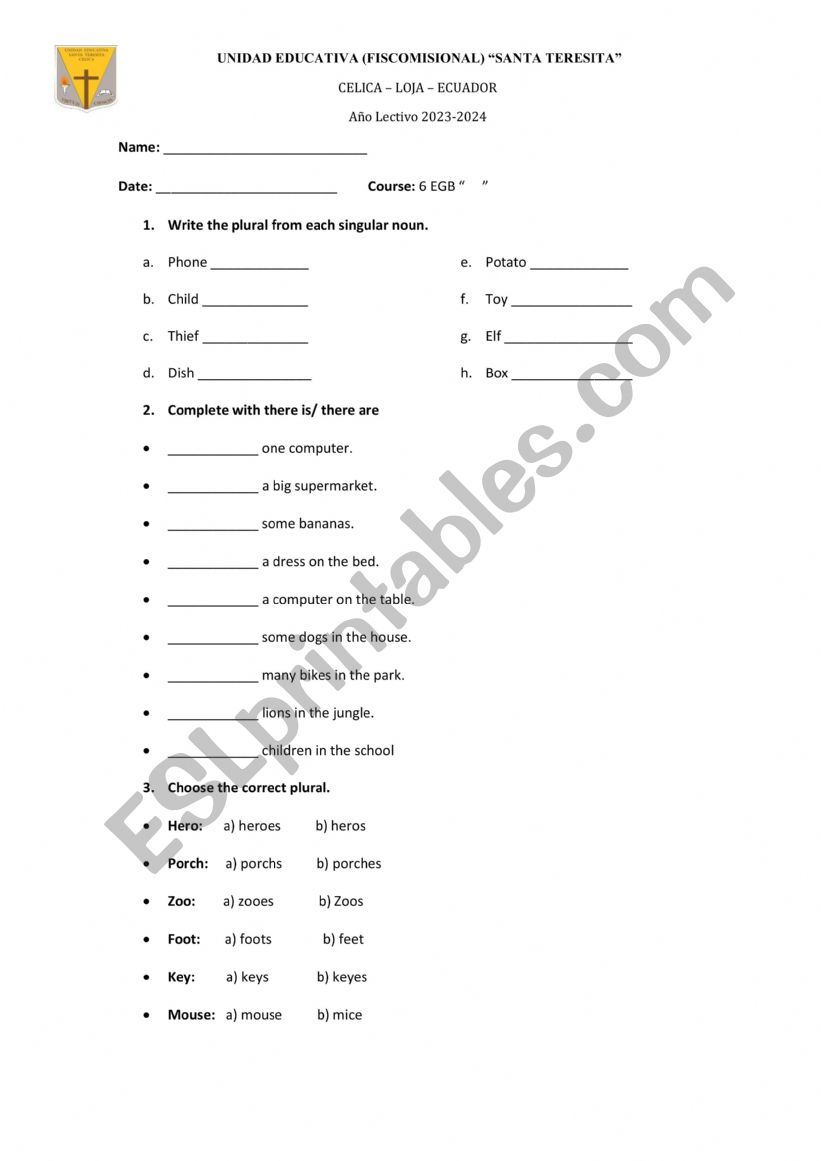 Plural Rules/ there is there are