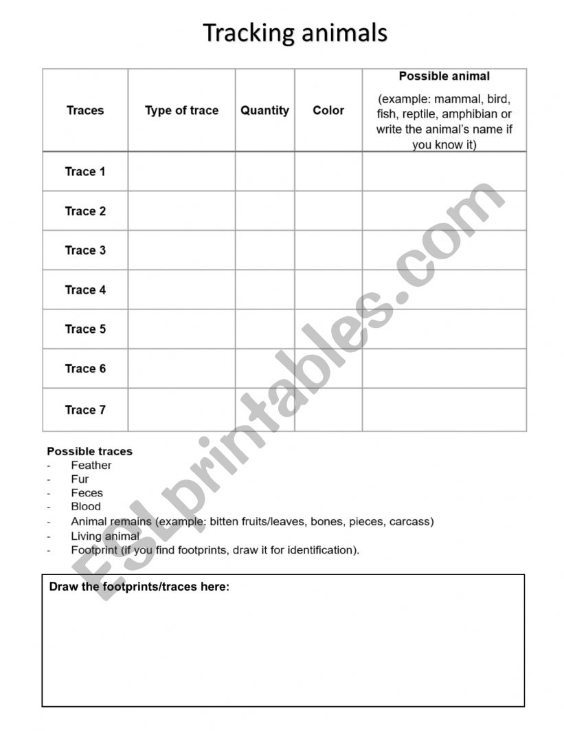 Tracking animals worksheet