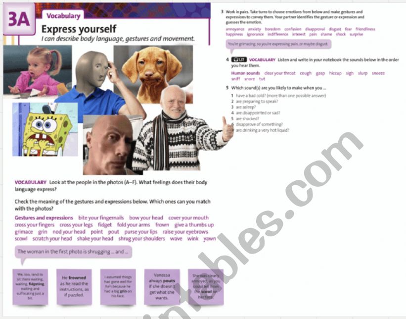 gestures and emotions worksheet