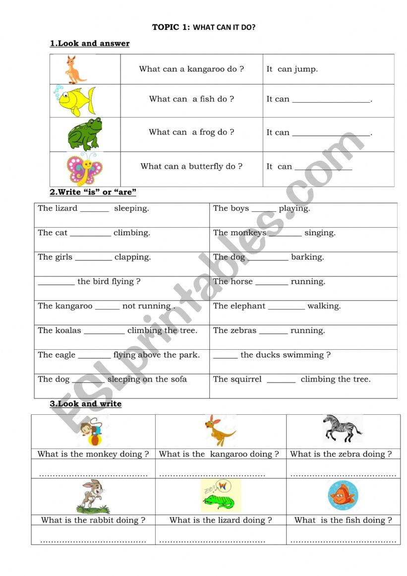 English worksheets: WHAT CAN IT DO?