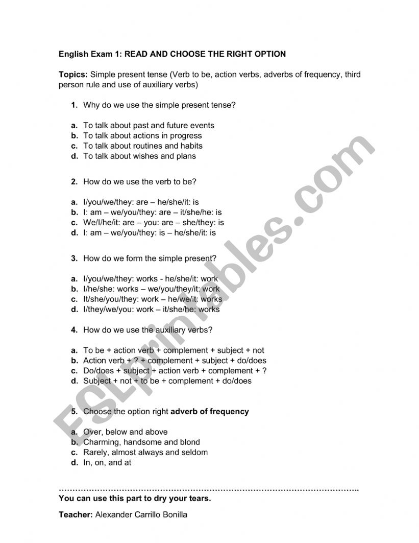 Present simple tense test worksheet