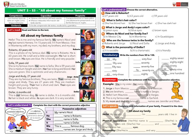 Possessive adjectives worksheet