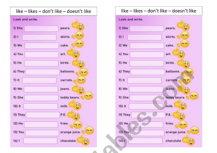 Likes and dislikes worksheet