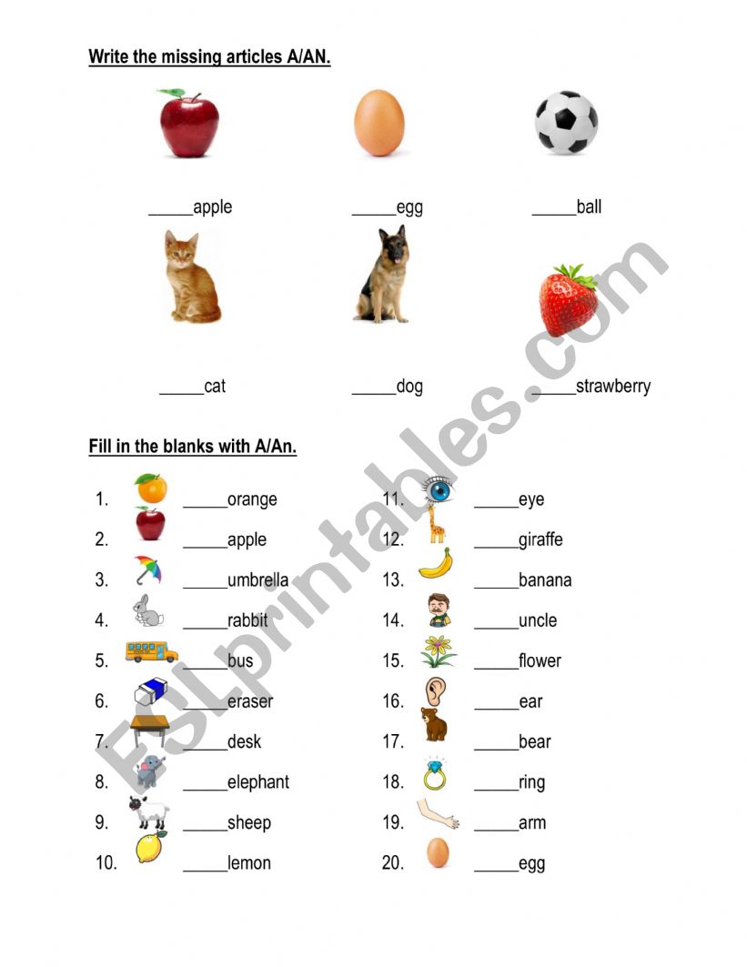 A&An worksheet