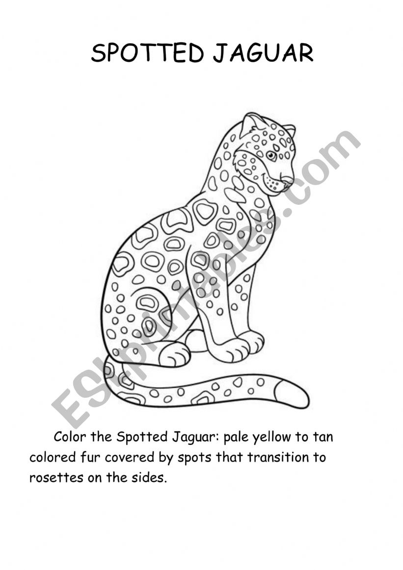 Spotted Jaguar worksheet