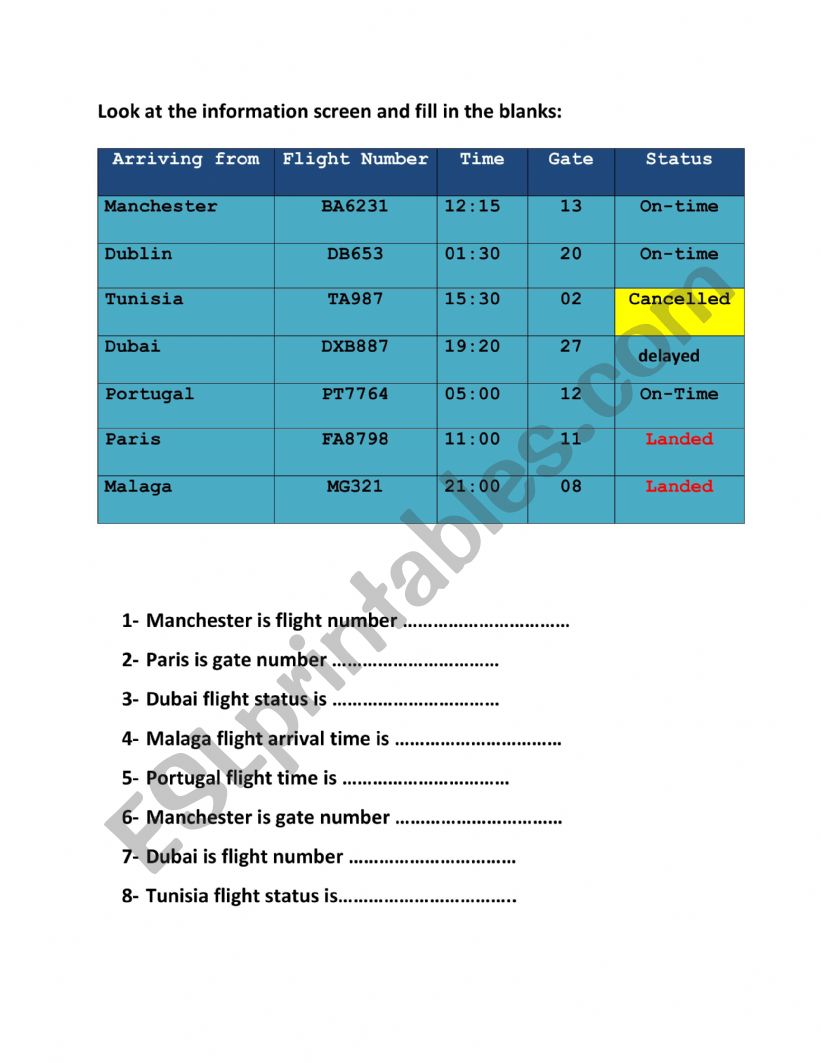 airport information worksheet