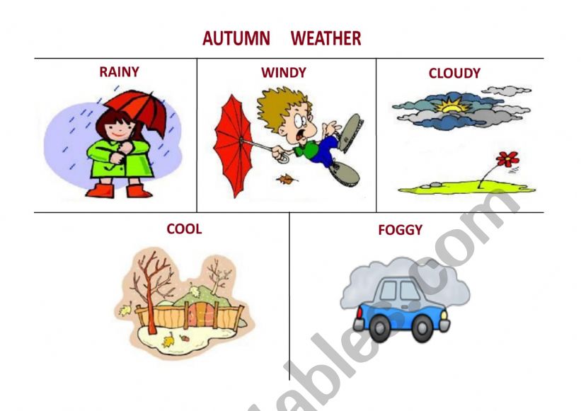 Autumn weather worksheet