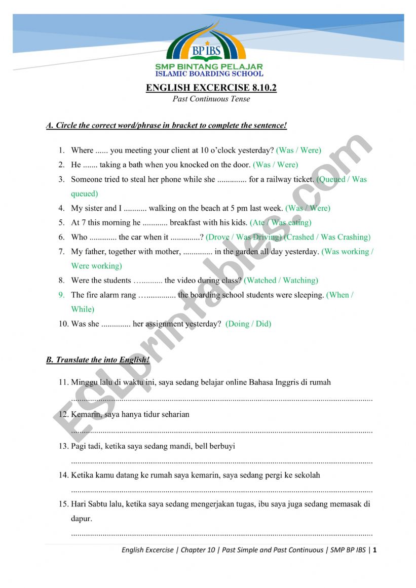 Past Continuous Exercise worksheet