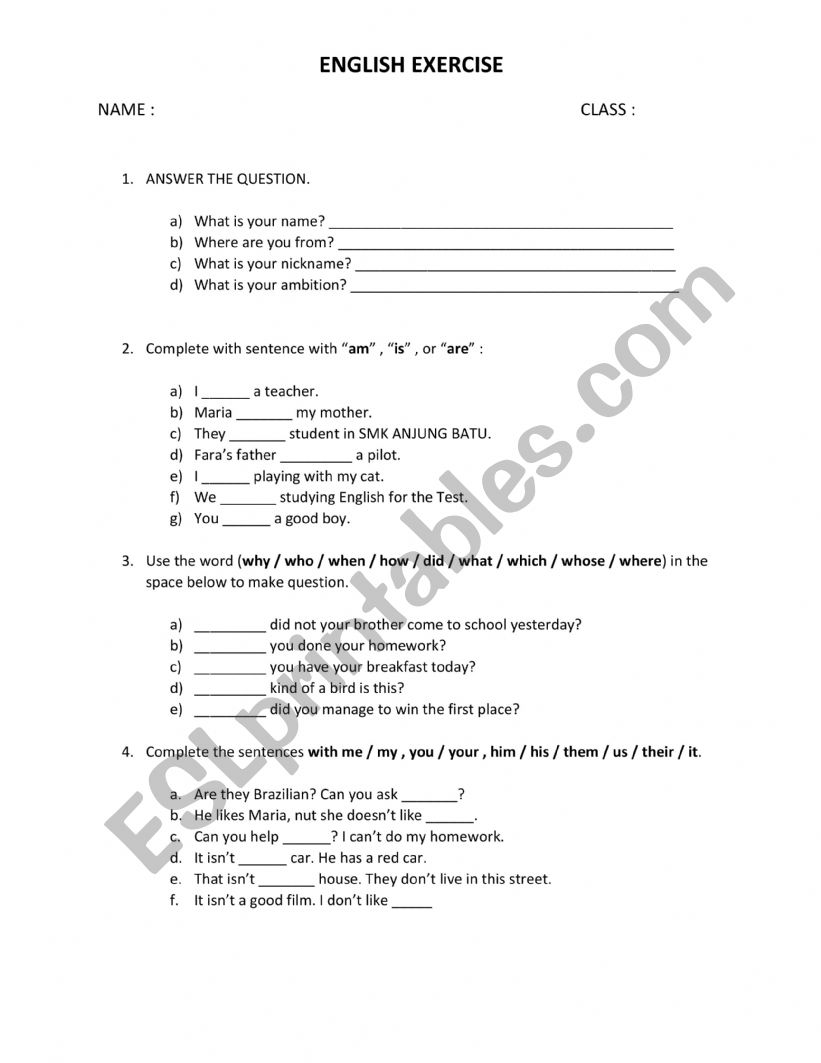 English Exercise worksheet