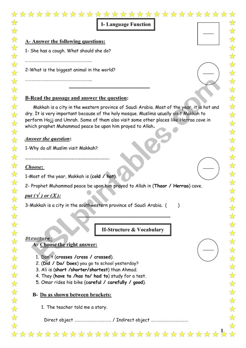 test grammar and vocab worksheet