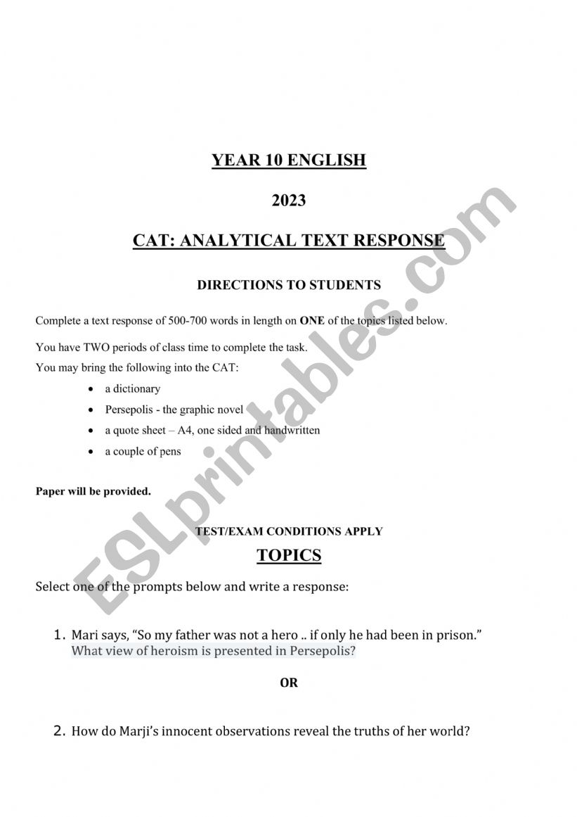 Persepolis Essay Topics worksheet