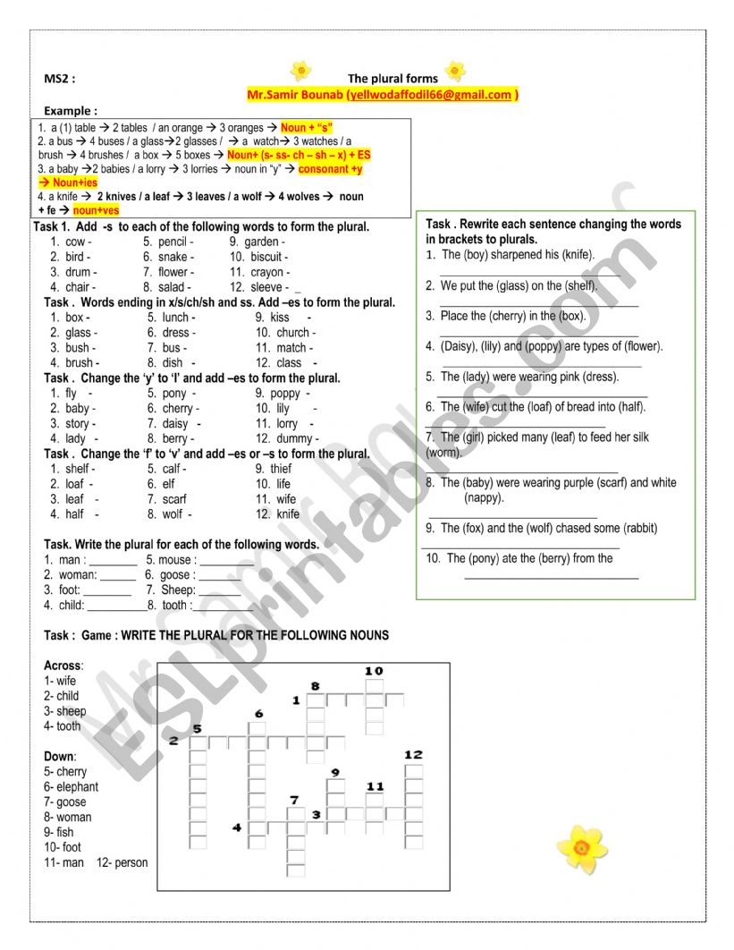 plural  forma worksheet