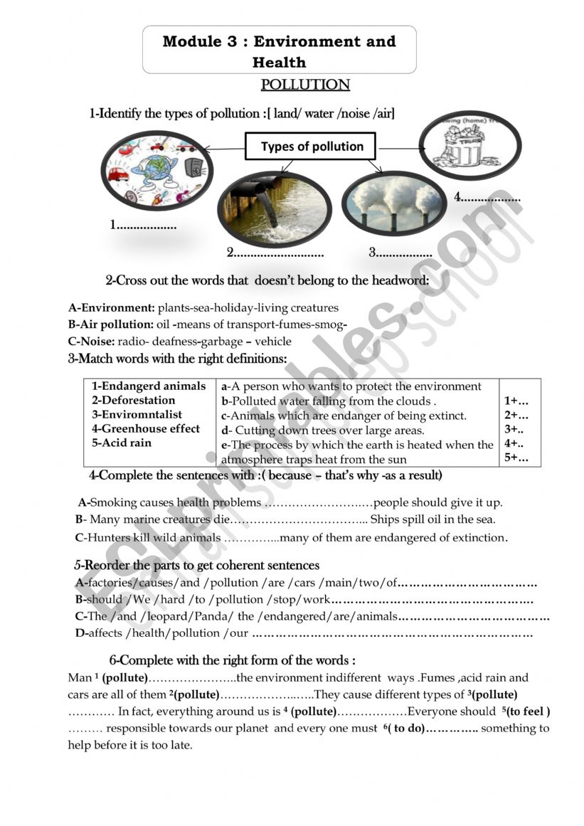  pollute worksheet