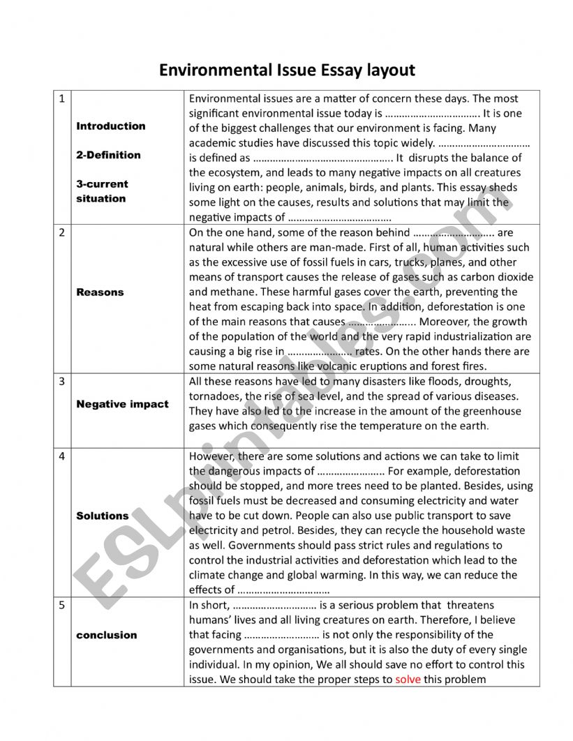 Environmental Issue Essay  worksheet