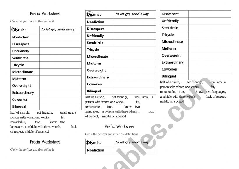 Prefix Worksheet worksheet
