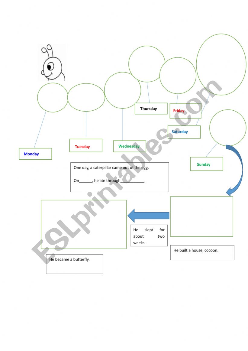 The very hungry caterpillar worksheet