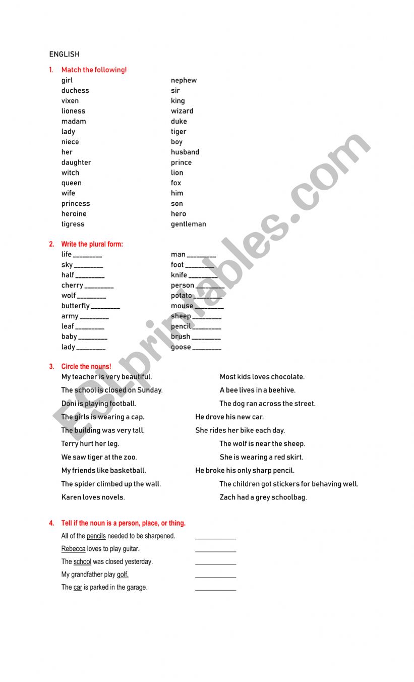 Noun Grade 2 worksheet