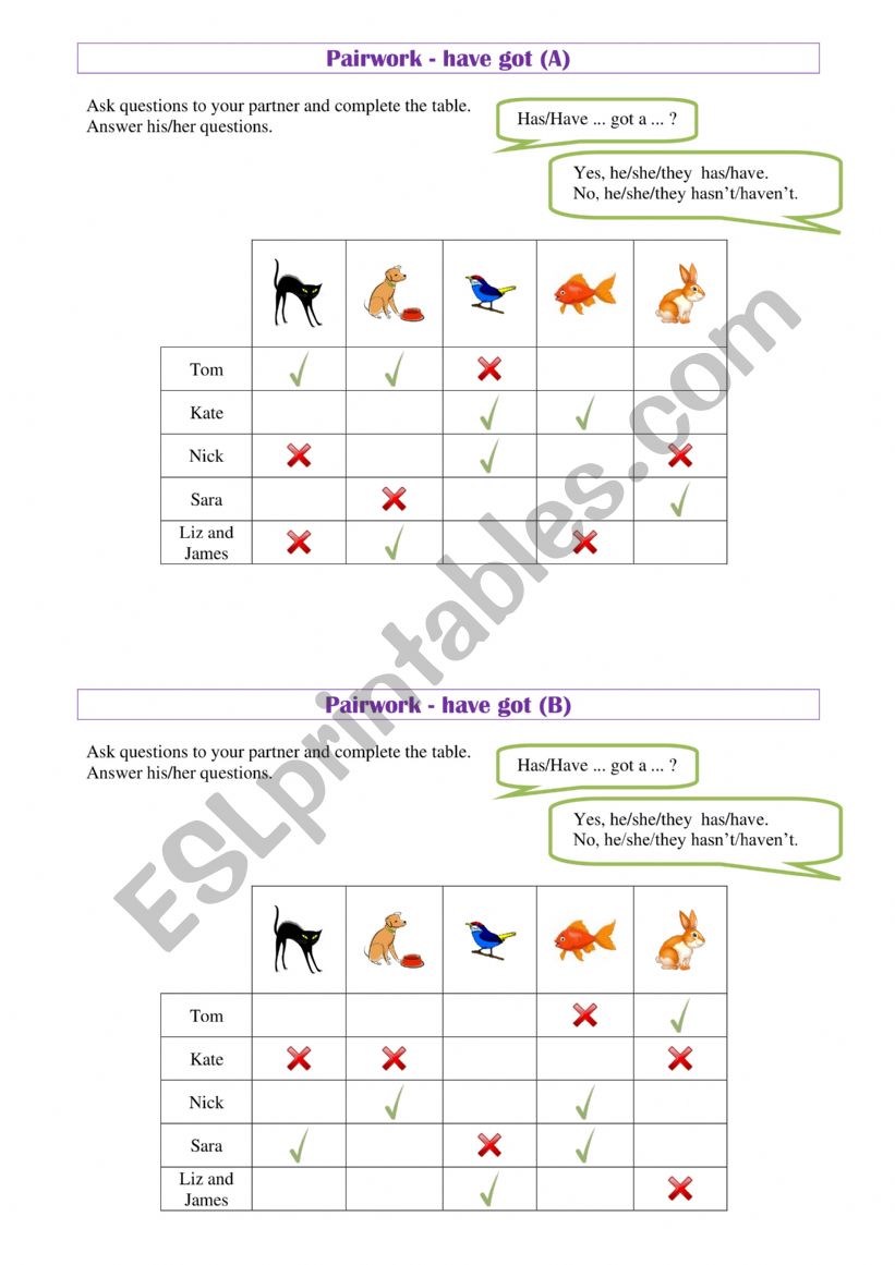 Pairwork - have got worksheet