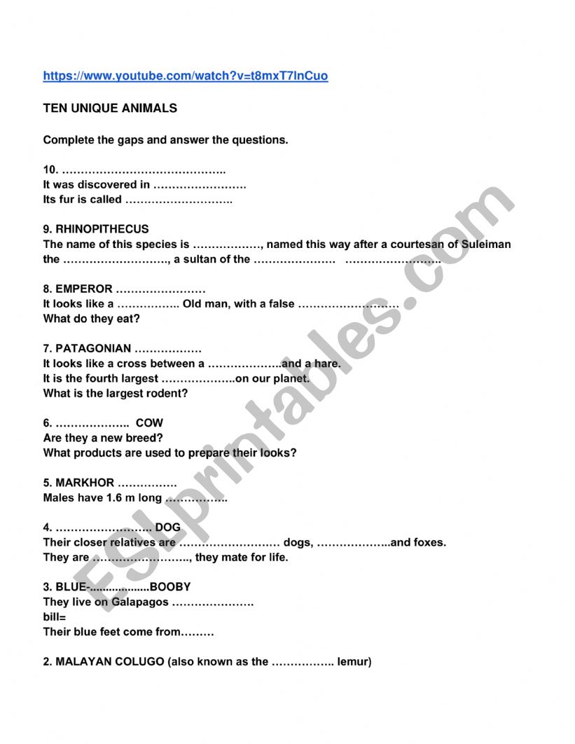 Strange Animals worksheet