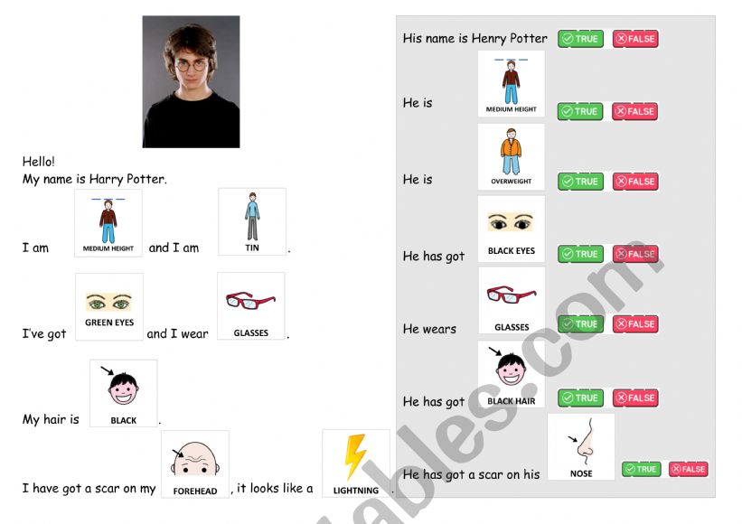 Harry Potter description worksheet