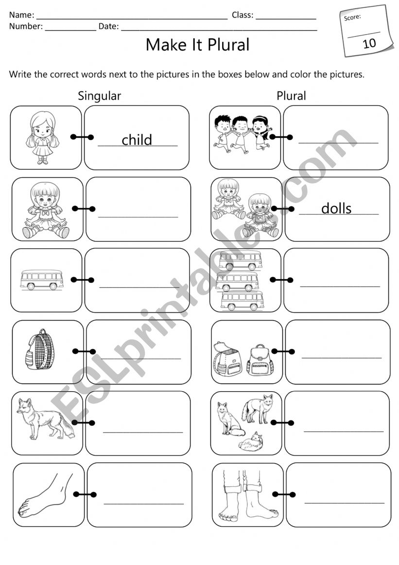 Singular and Plural Nouns worksheet