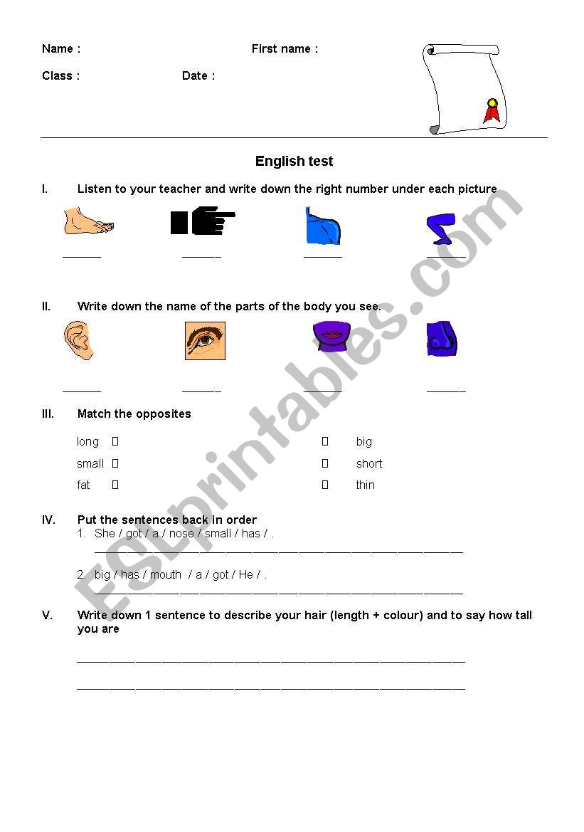 Test on body parts worksheet