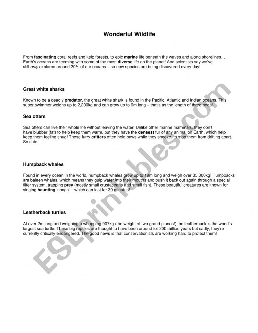 Wonderful Wildlife Activities worksheet