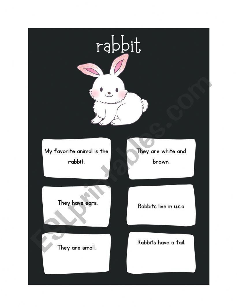 Rabbit worksheet