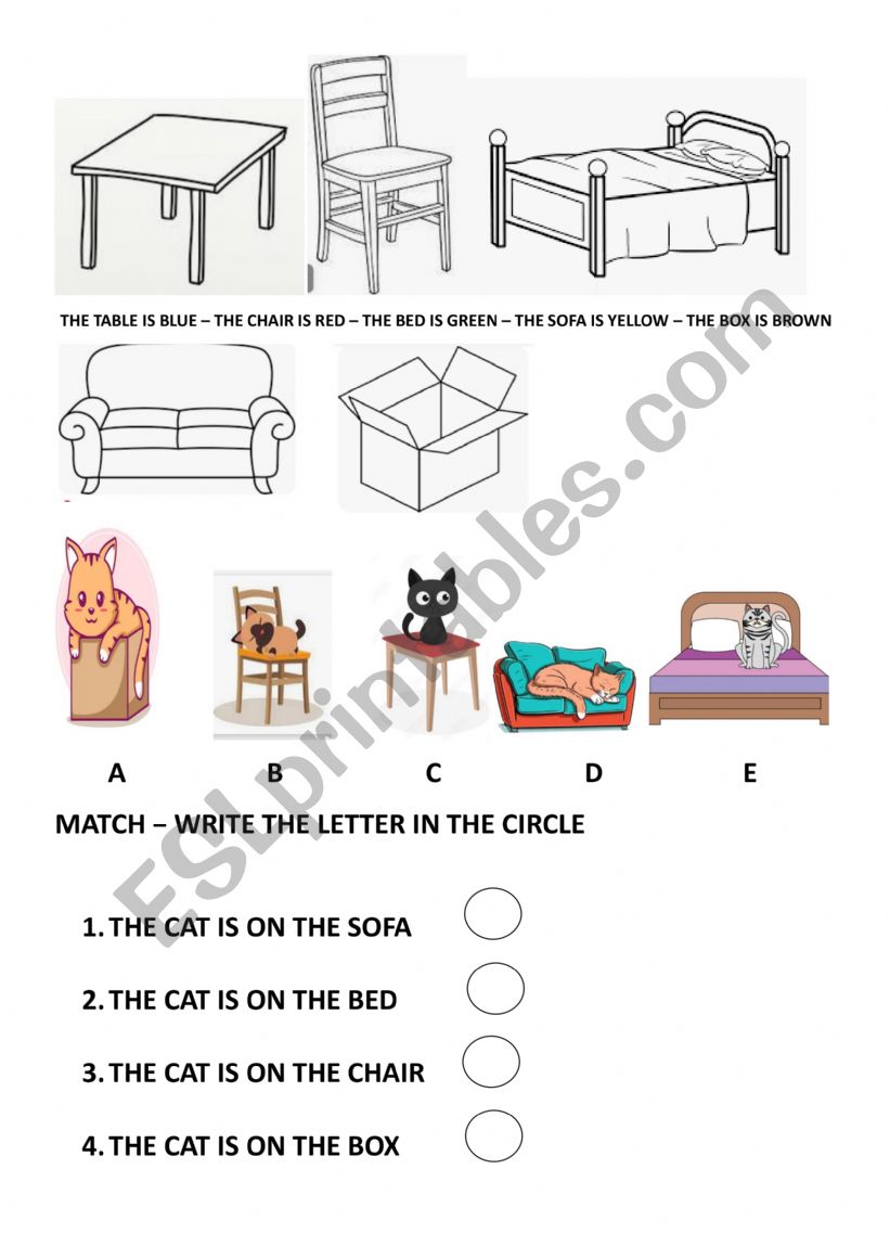 WHERE IS THE CAT worksheet