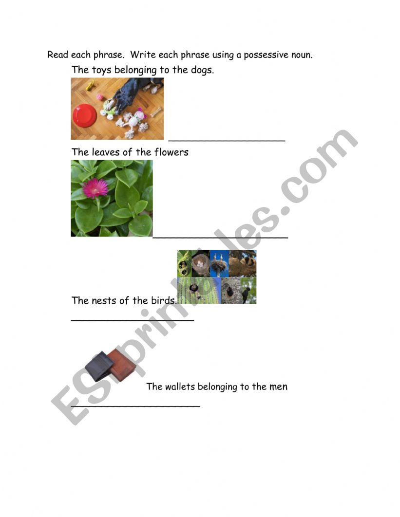 possessive nouns practice worksheet