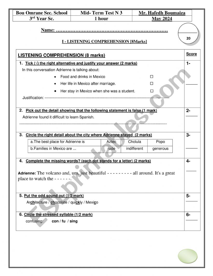 3rd Year Sc MT 3 Test worksheet