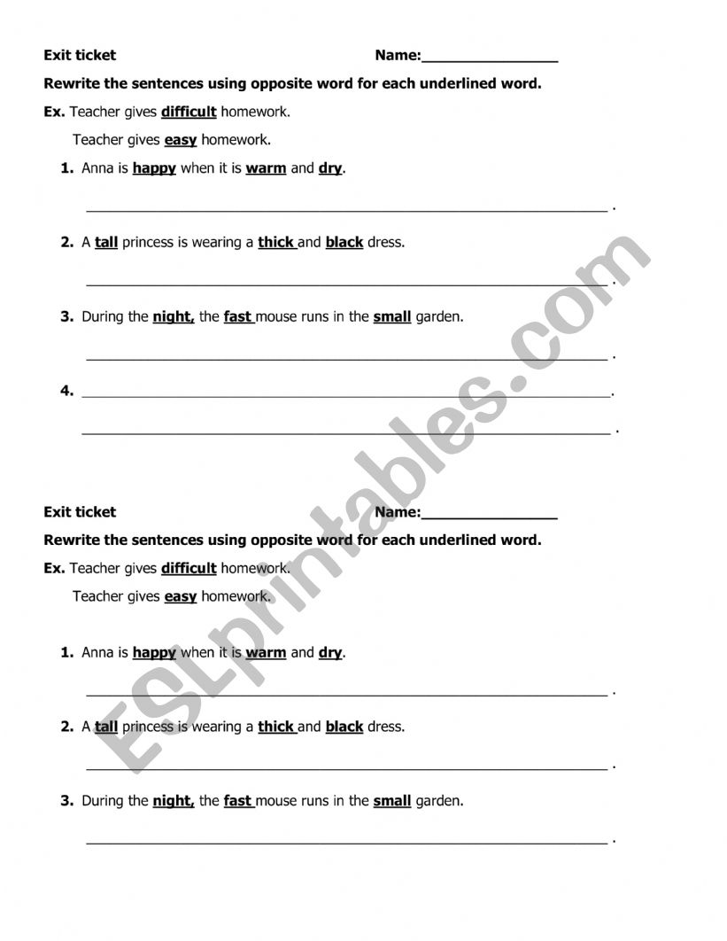 Describing words - exit ticket