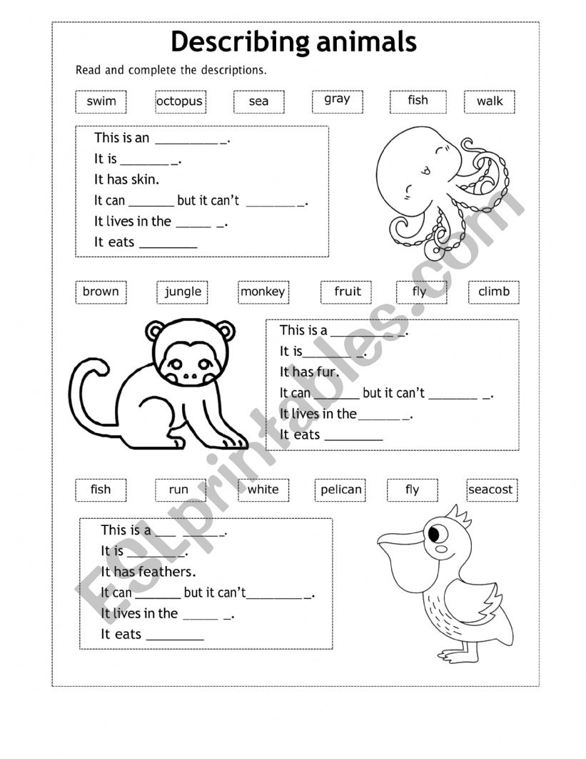 Describing animals worksheet