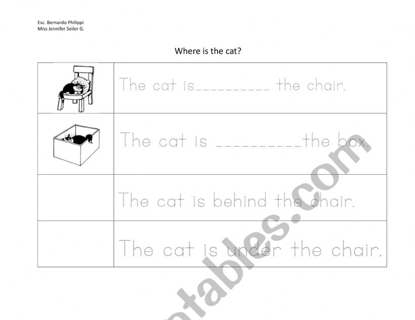 where is the cat? worksheet