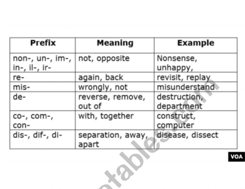 prefix worksheet