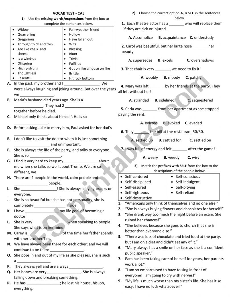 CAE Vocabulary Quiz worksheet