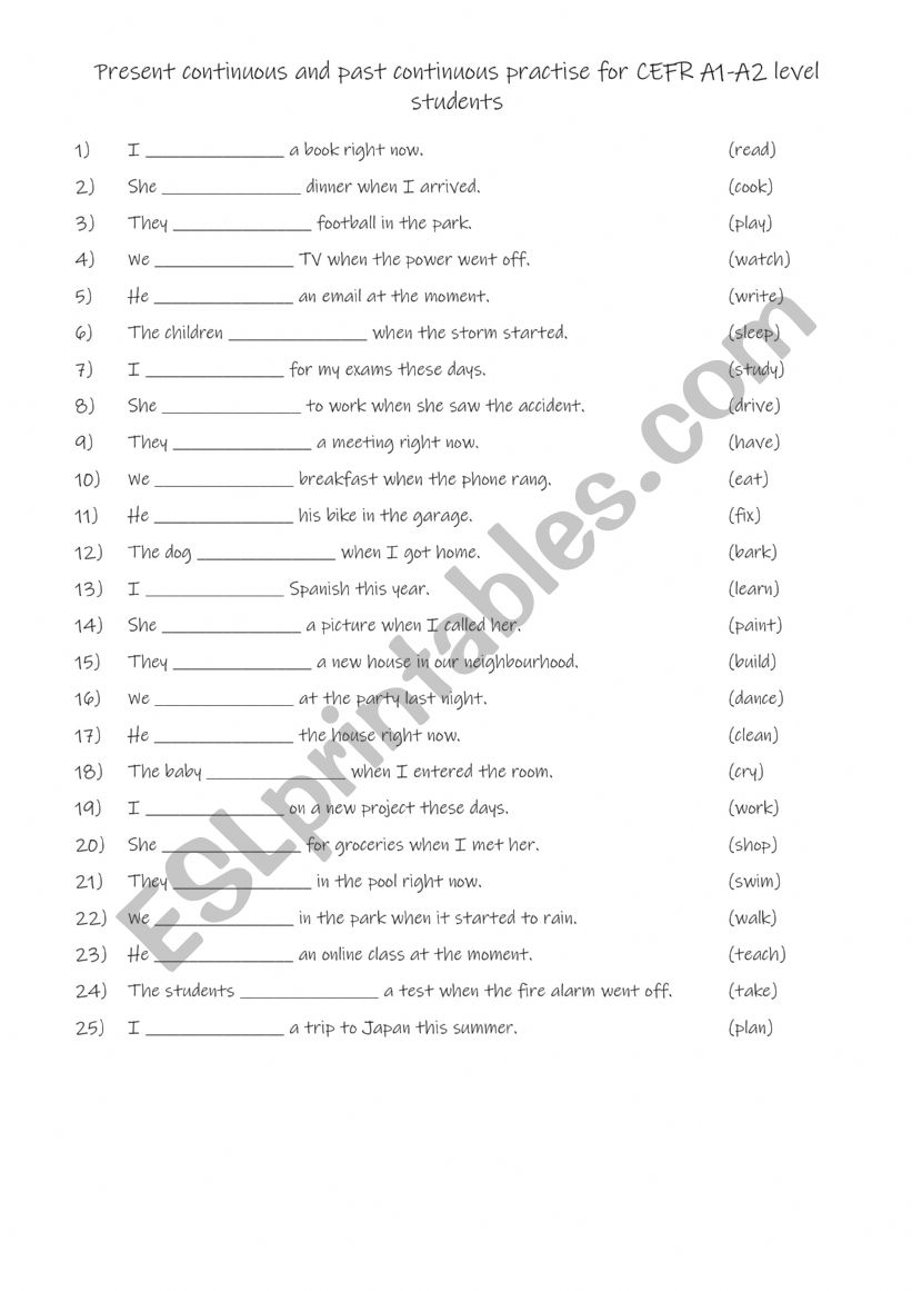 Present continuous and past continuous practise 