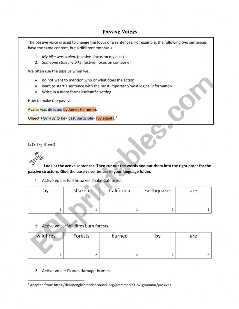 passive voice  worksheet