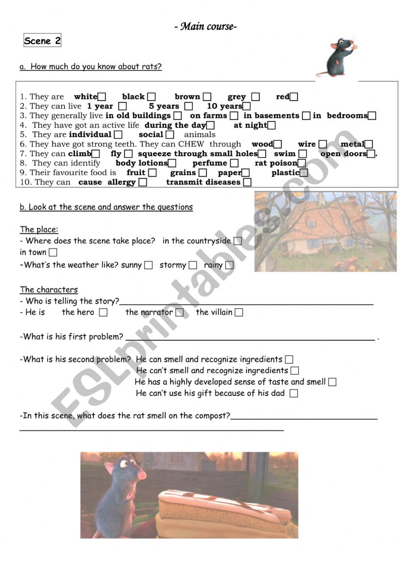 Ratatouille Opening scene worksheet