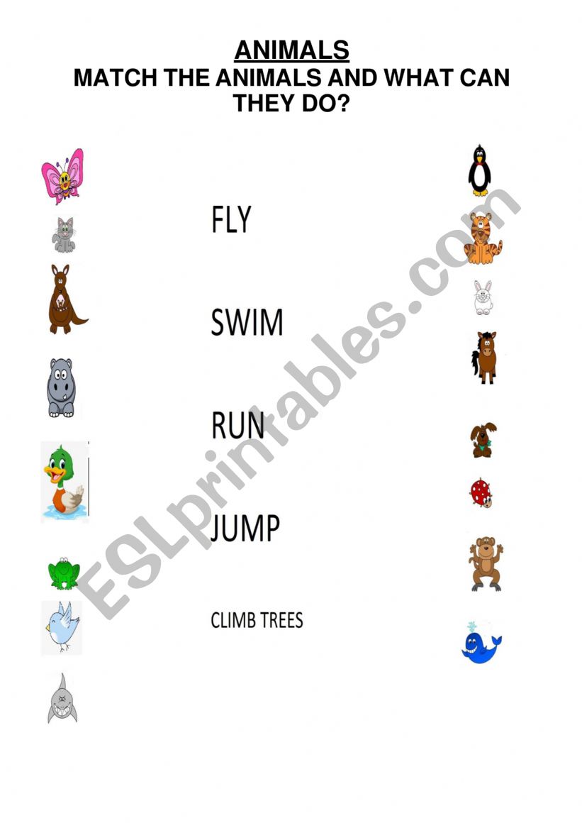 Animals worksheet