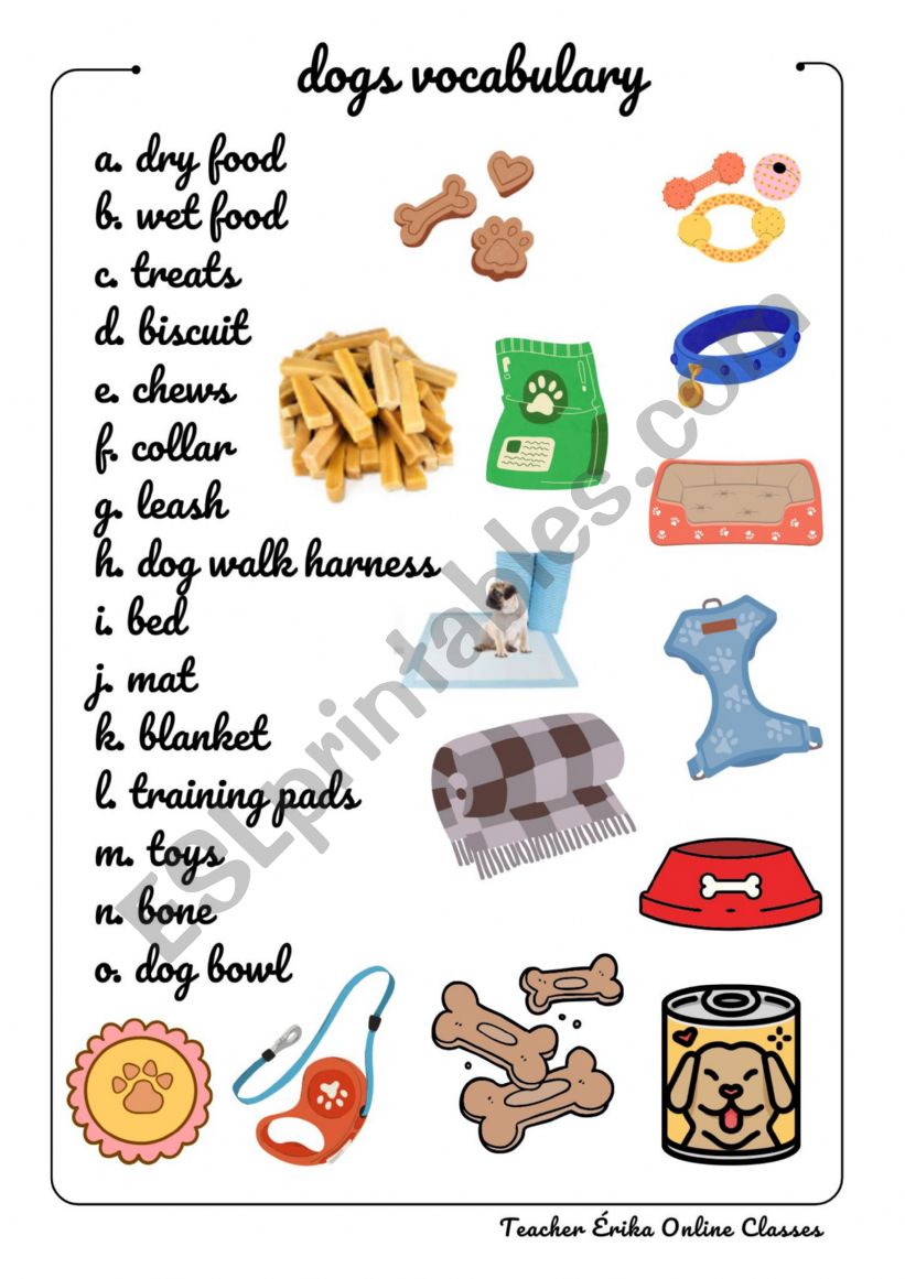 Dog Vocabulary worksheet