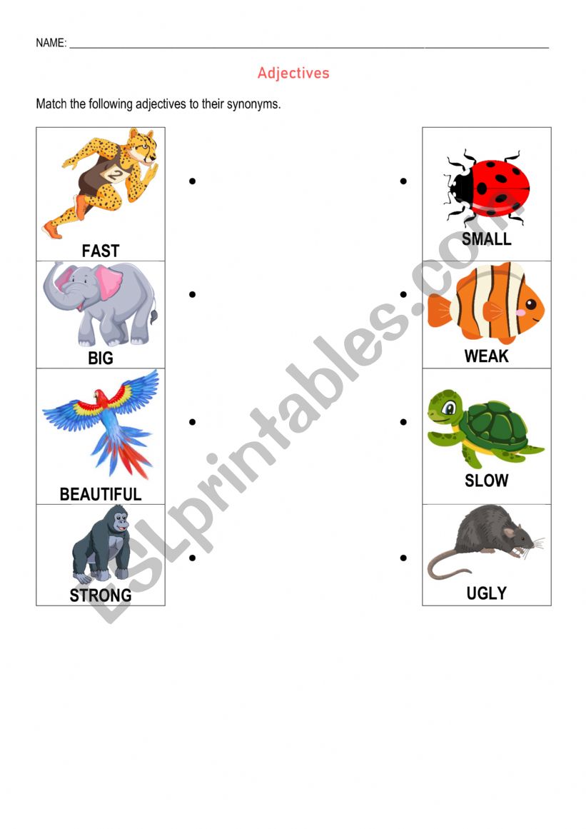 Animals Adjectives worksheet