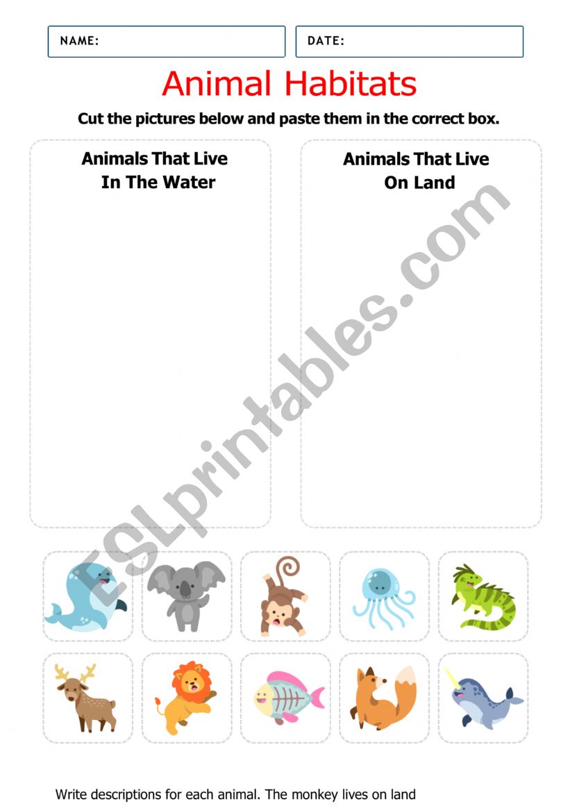 Animals habitats  worksheet