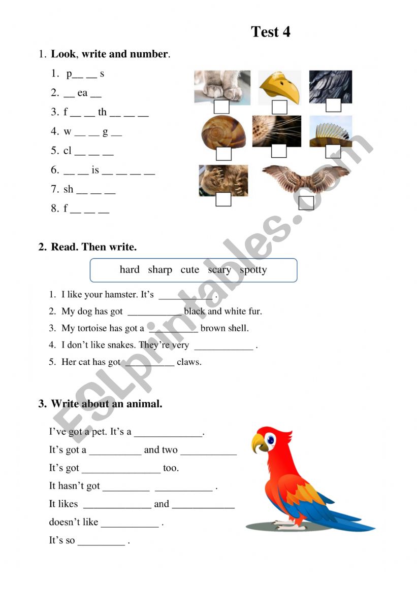 My pet worksheet