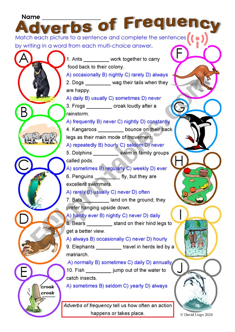 Adverbs of Frequency 2 multi-choice worksheet with answer keys