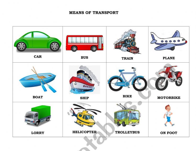 Means of Transport worksheet