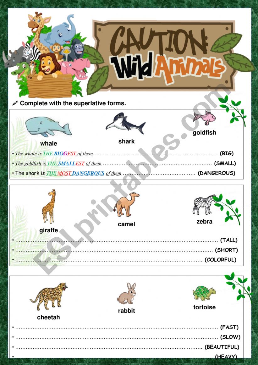 comparative form / animals worksheet