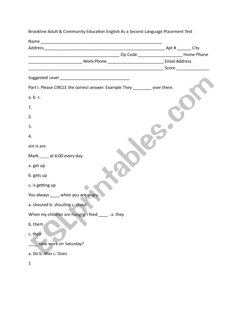 ESL placement test  worksheet