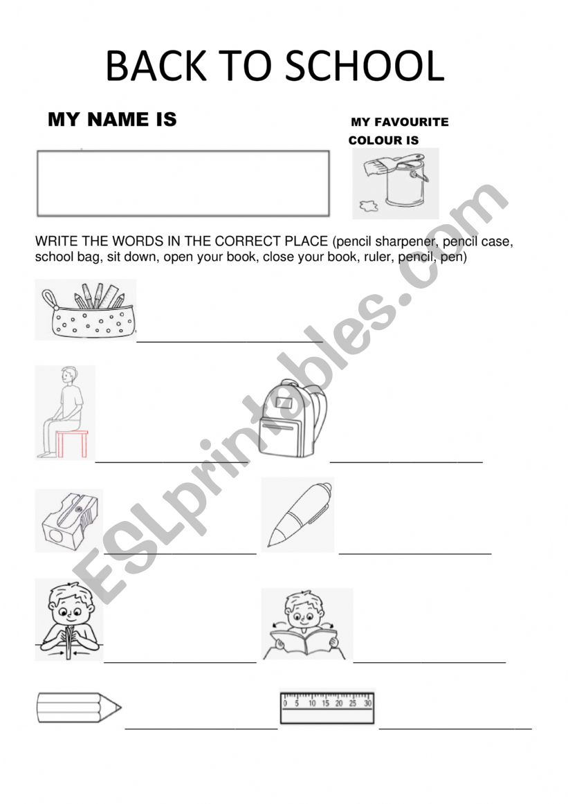 BACK TO SCHOOL worksheet